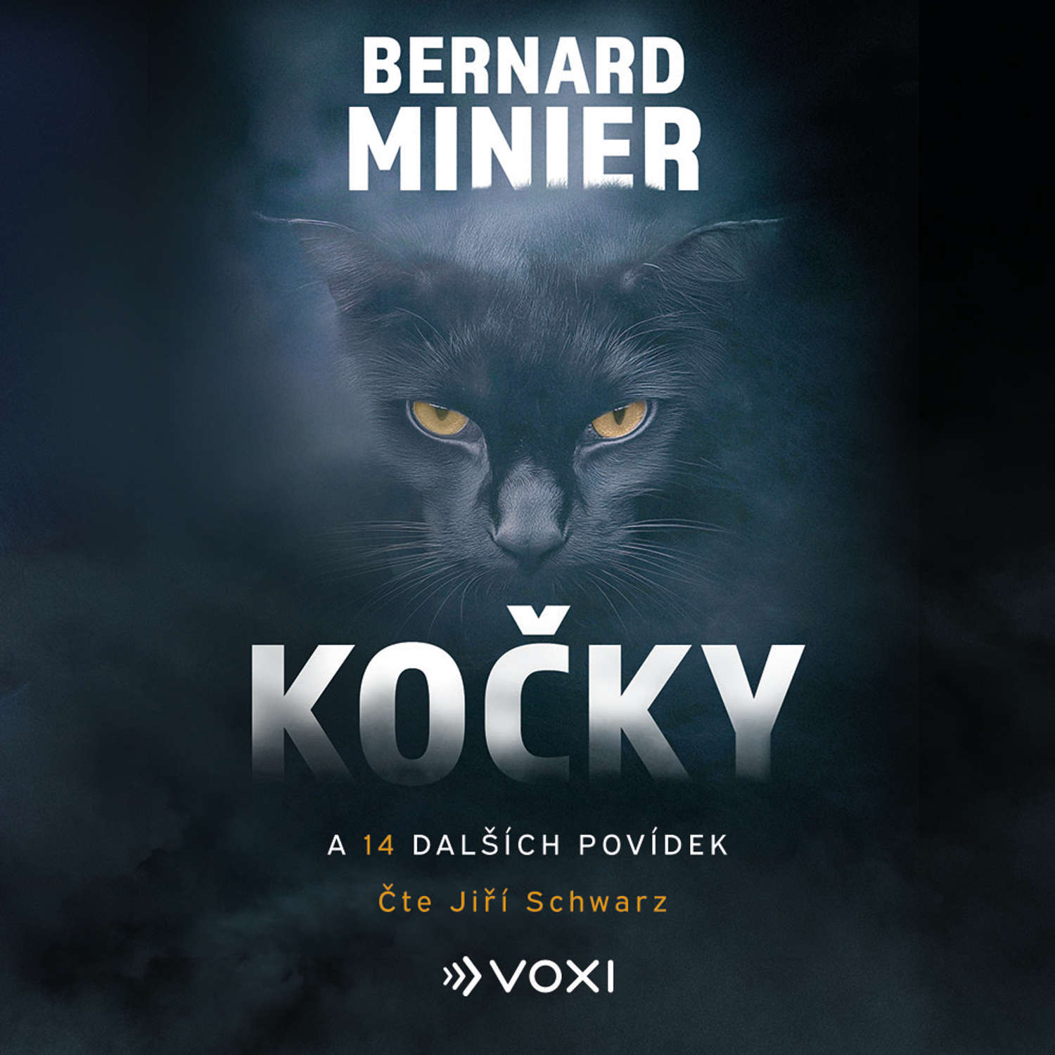 Kočky a 14 dalších povídek